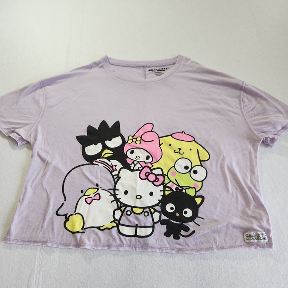 Sanrio Tops - Hello Kitty & Friends Womens Lilac Cropped Graphic  Tee Size Large